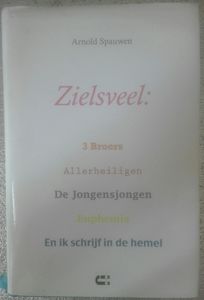 Zielsveel