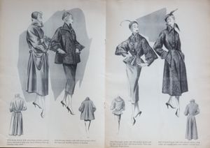 Fur Design Guild: 2-50