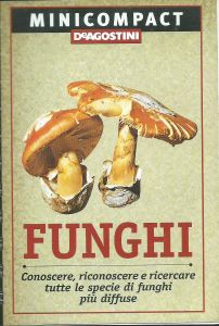 Funghi