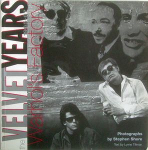 The Velvet Years: Warhol's Factory 1965-67