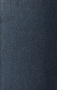 The Gray Dawn