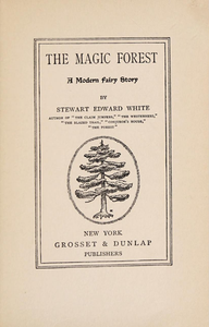 The Magic Forest: A Modern Fairy Story