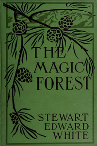 The Magic Forest: A Modern Fairy Story