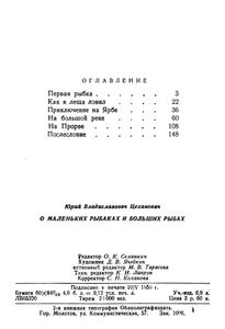 О маленьких рыбаках и больших рыбах