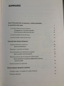 Grandi idee della matematica - n. 31 - Sistemi dinamici