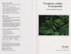Fougères, prêles et lycopodes