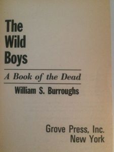The Wild Boys: A Book of the Dead