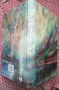 Dark Mountain 17