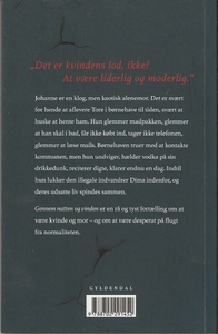 Gennem natten og vinden