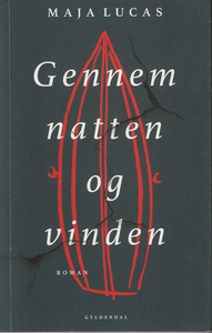 Gennem natten og vinden