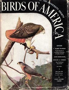 Birds of America