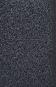 Петербургский изгнанник. Книга 3