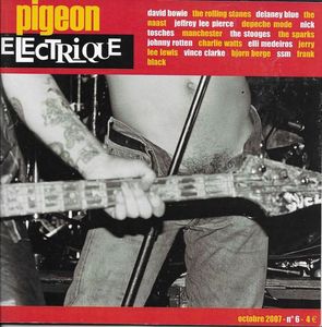 Pigeon Electrique #06