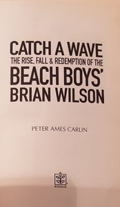 Catch a Wave: The Rise, Fall & Redemption of The Beach Boys' Brian Wilson
