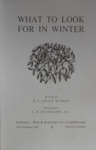 What to Look for in Winter