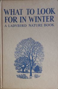 What to Look for in Winter