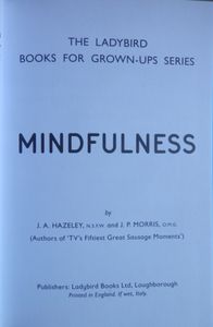 The Ladybird Book of Mindfulness