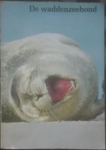 De Waddenzeehond
