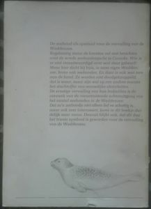 De Waddenzeehond