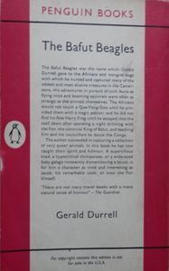 The Bafut Beagles