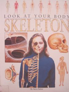 Look at Your Body: Skeleton