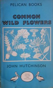Common Wild Flowers