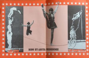 Sous Le Grand Chapiteau - Cirque Gatini Circus