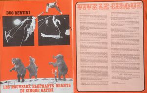 Sous Le Grand Chapiteau - Cirque Gatini Circus