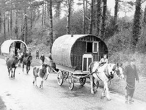 Gypsies (Travellers)