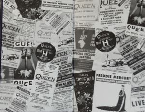Freddie Mercury The Definitive Biography