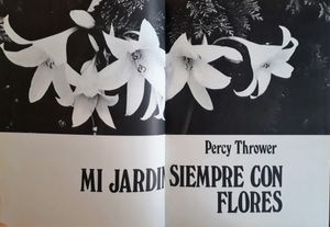 Mi Jardín Siempre Con Flores