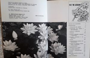 Mi Jardín Siempre Con Flores