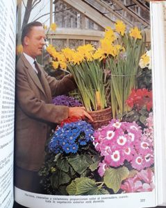 Mi Jardín Siempre Con Flores