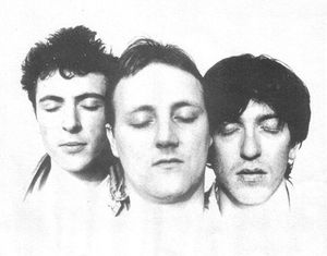 The Owls