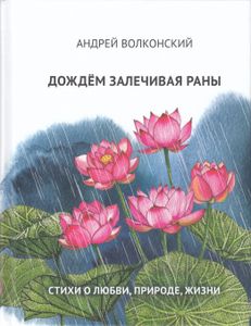 Дождём залечивая раны. Стихи о любви, природе, жизни