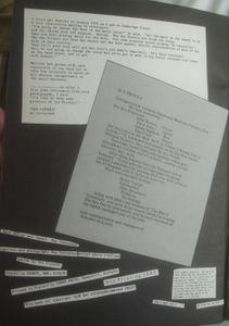 Sex Pistols File