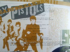 Punk: The Illustrated History of a Music Revolution