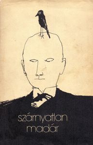 Szárnyatlan madár