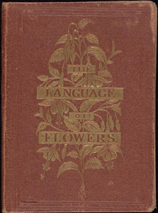 The Miniature Language of Flowers