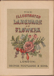 The Miniature Language of Flowers