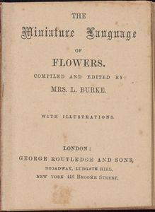 The Miniature Language of Flowers