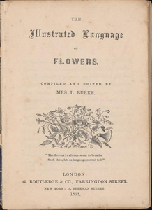 The Illustrated Language of Flowers