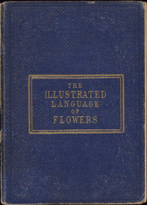 The Illustrated Language of Flowers