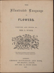 The Illustrated Language of Flowers