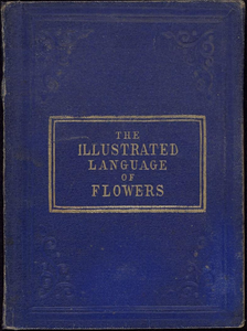 The Illustrated Language of Flowers