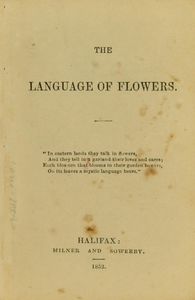 The Language of Flowers