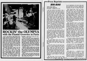 Flamin' Groovies Monthly Book #01