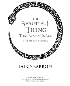 The Beautiful Thing That Awaits Us All and Other Stories