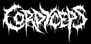 Cordyceps