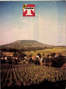 Új Tükör XXI/42